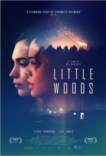 دانلود فیلم Little Woods 201822292-612918440