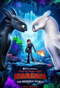 دانلود انیمه How to Train Your Dragon: The Hidden World 201919855-1396646379