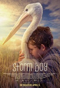 دانلود فیلم Storm Boy 20199003-1806168717