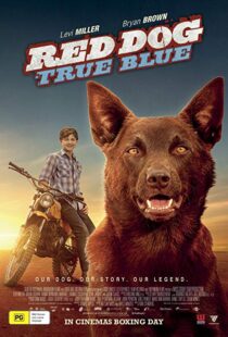 دانلود فیلم Red Dog: True Blue 20168899-797371969