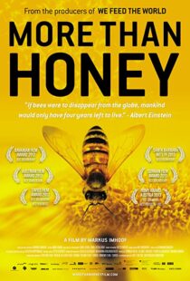 دانلود مستند More Than Honey 201240978-72773595