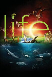 دانلود مستند Life96080-1695230546