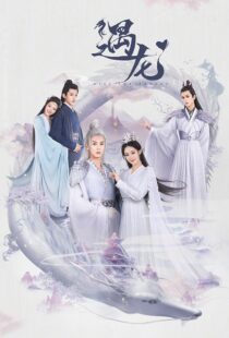 دانلود سریال Miss the Dragon364140-194508930