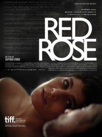 دانلود فیلم Red Rose 2014373098-1714534273