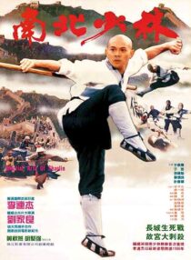 دانلود فیلم Martial Arts of Shaolin 1986376976-670968092