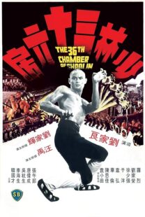 دانلود فیلم The 36th Chamber of Shaolin 1978418237-1191378101