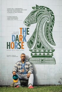 دانلود فیلم The Dark Horse 2014423794-1214273051
