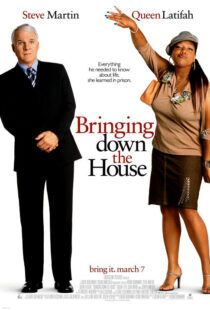 دانلود فیلم Bringing Down the House 2003424024-1265941722