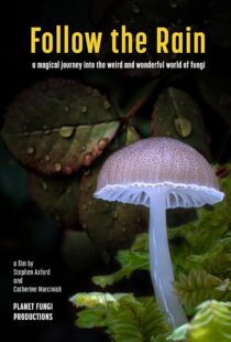 دانلود مستند Follow the Rain 2024425379-1508424891