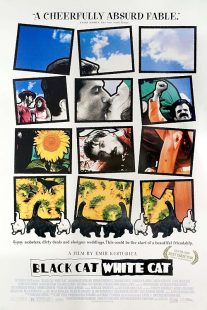 دانلود فیلم Black Cat, White Cat 1998444406-1226241073