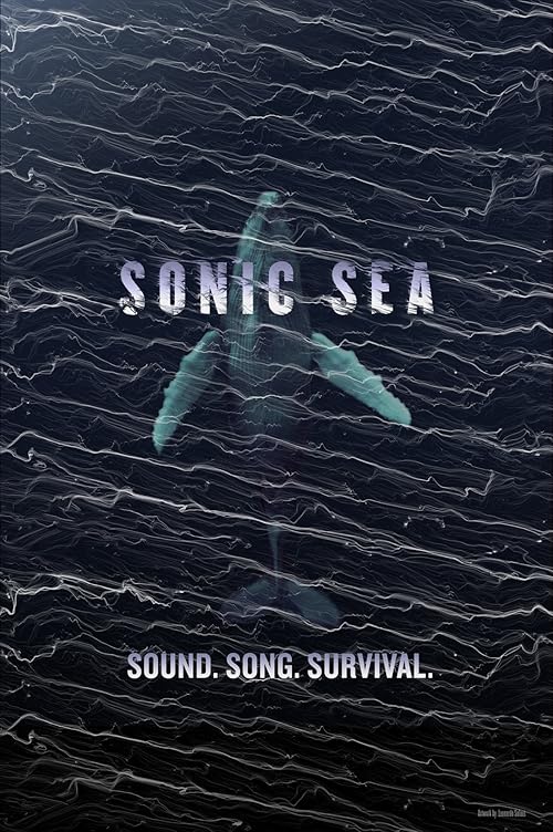 دانلود فیلم Sonic Sea 2016