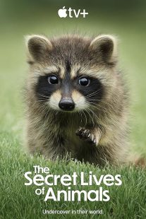 دانلود مستند The Secret Lives of Animals448835-1313757986