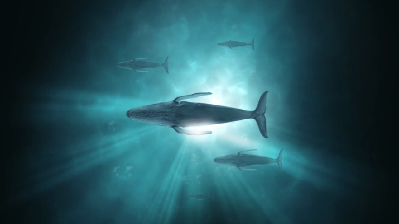 دانلود فیلم Sonic Sea 2016